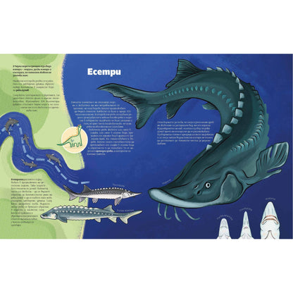 Книга "Черно море"