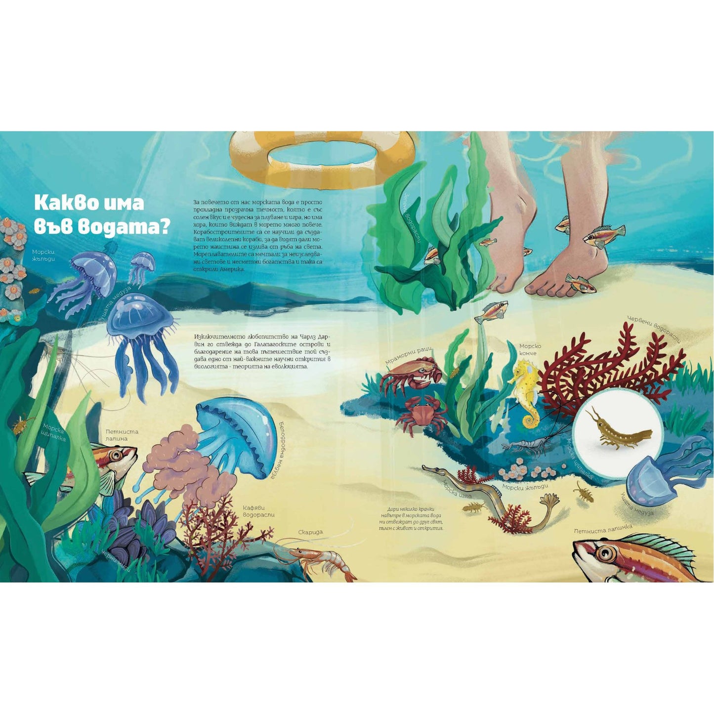 Книга "Черно море"